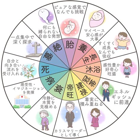 十二運星|四柱推命の十二運星とは？調べ方から意味までを簡単。